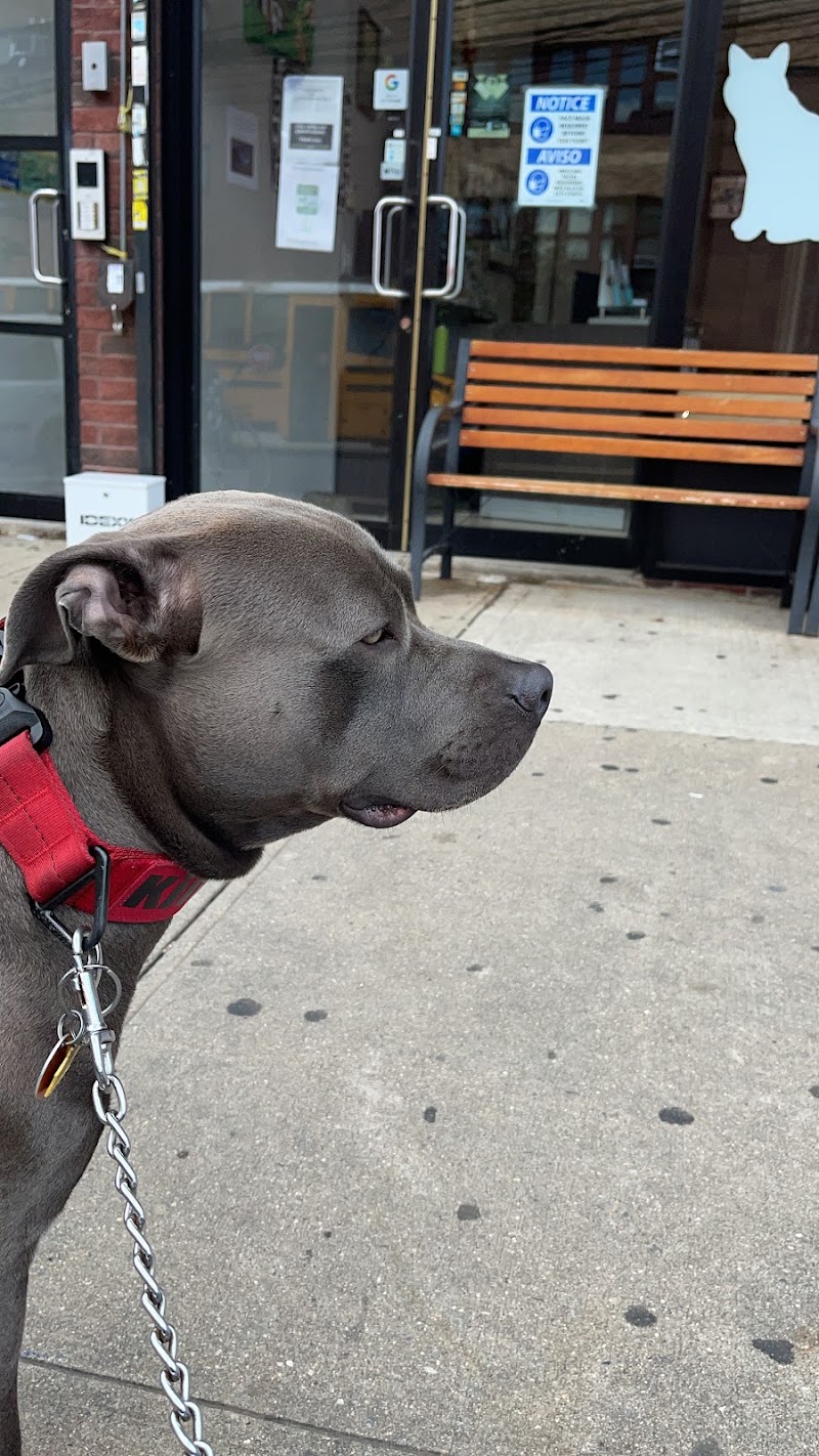 IAC Urgent Vets - Queens