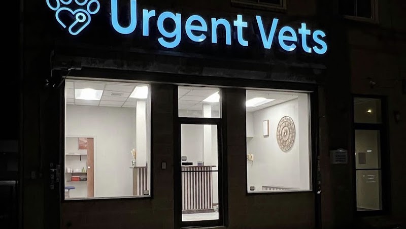 IAC Urgent Vets - Queens