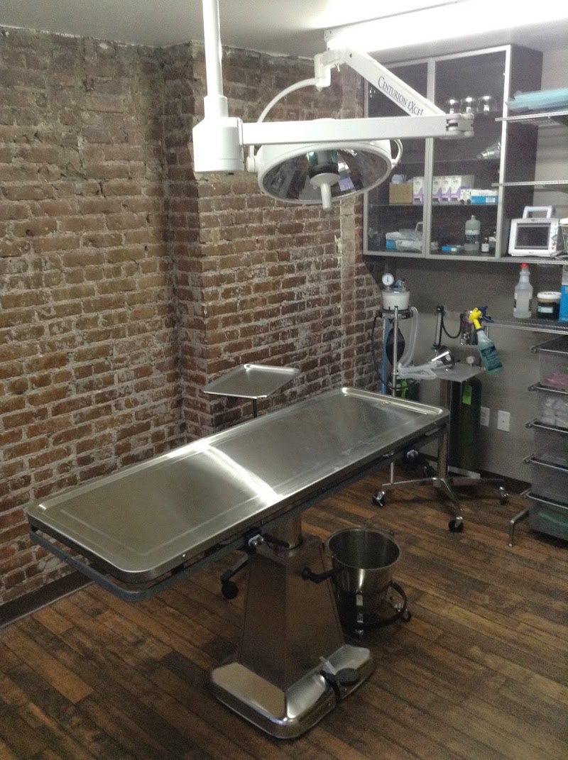 Heart of Harlem Veterinary Clinic