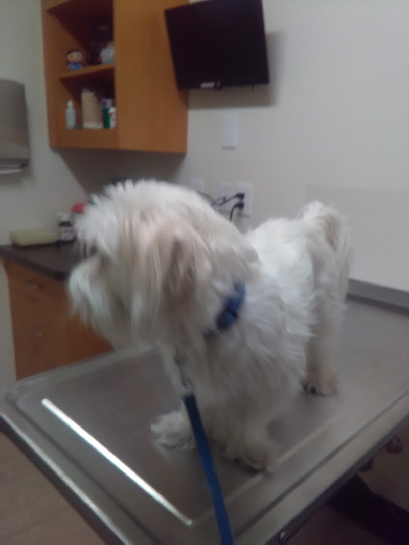 VCA Clarmar Animal Hospital
