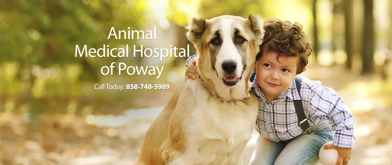 Animal Medical Hospital of Poway - Poway
