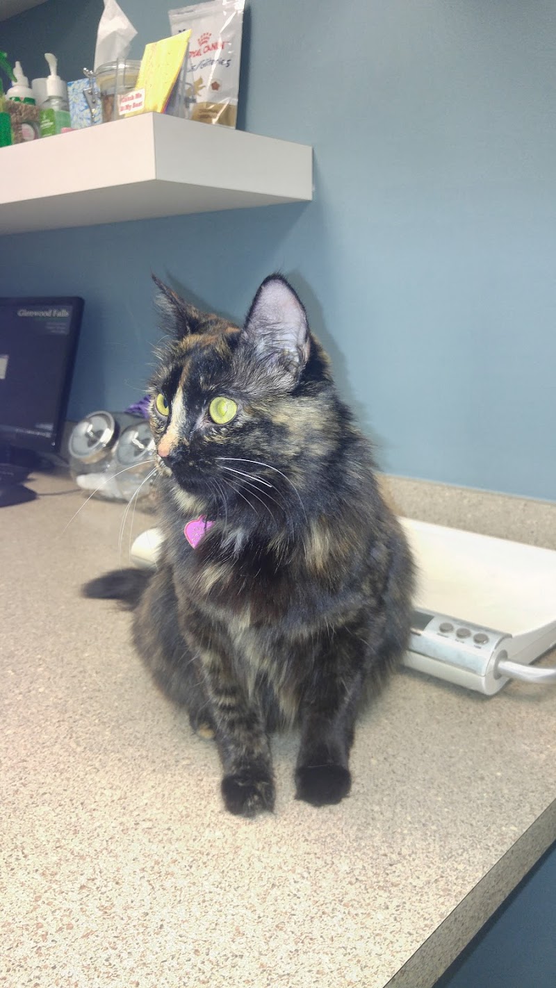 Glenwood Falls Animal Hospital
