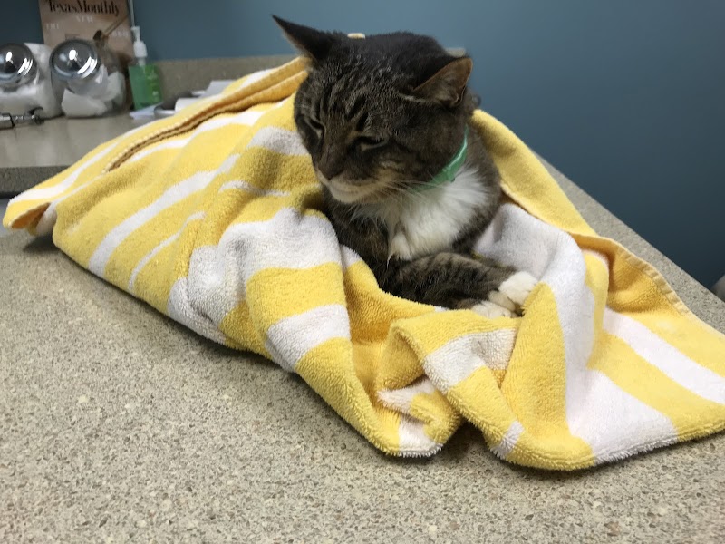 Glenwood Falls Animal Hospital
