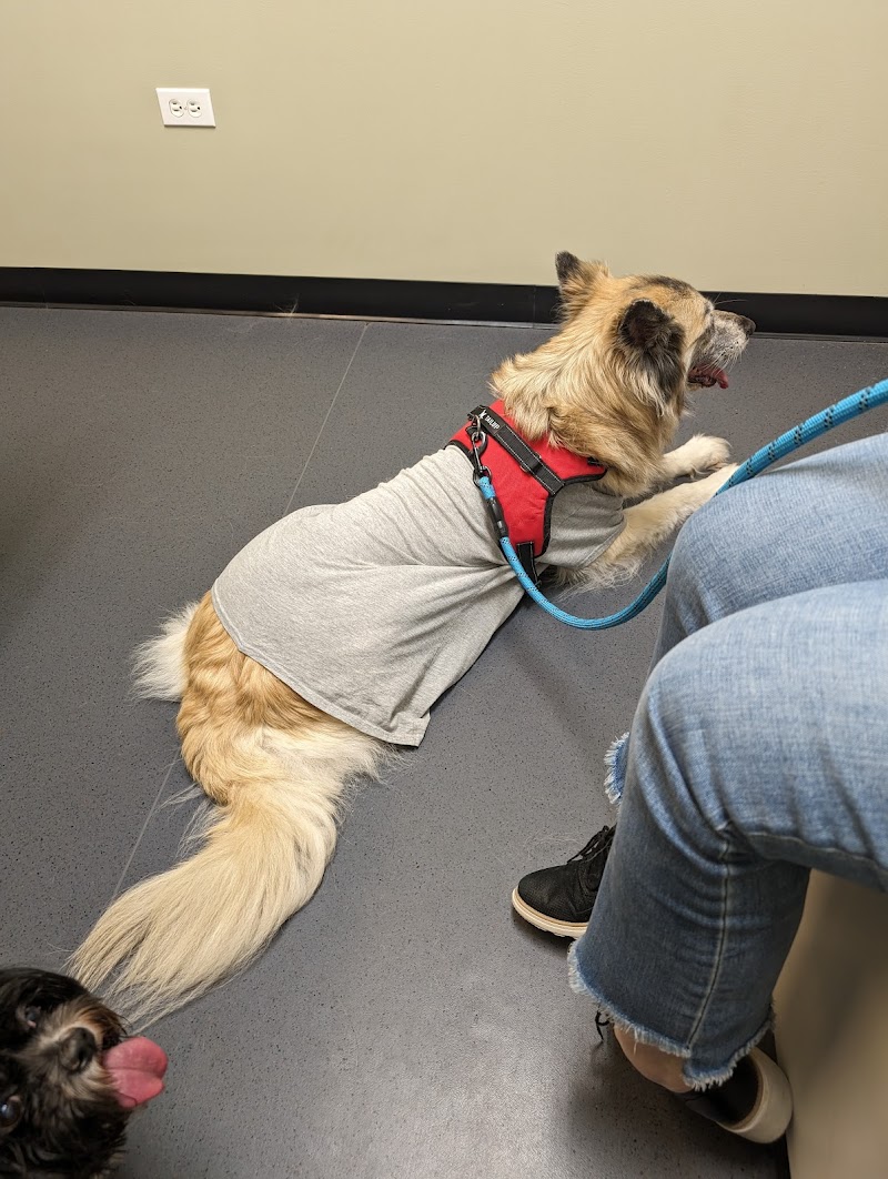 Glenwood Falls Animal Hospital
