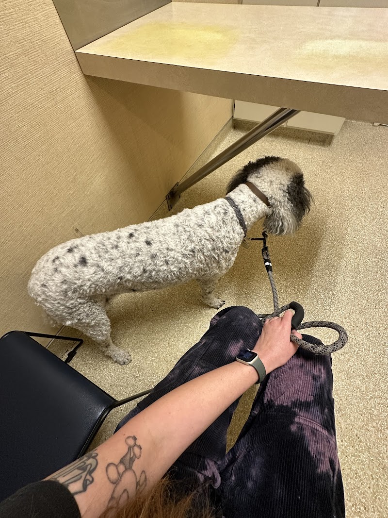Rosemont Veterinary Hospital