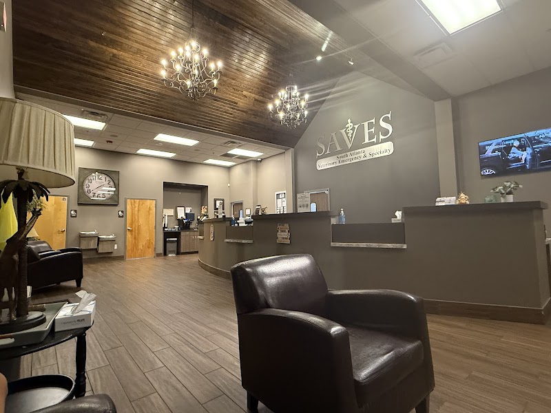 South Atlanta Veterinary Emergency & Specialty, A Thrive Pet Healthcare Partner