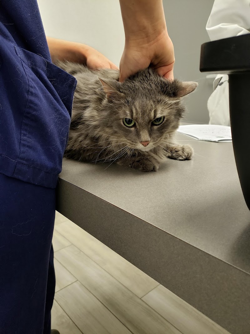 Animal Medical Center of Plano