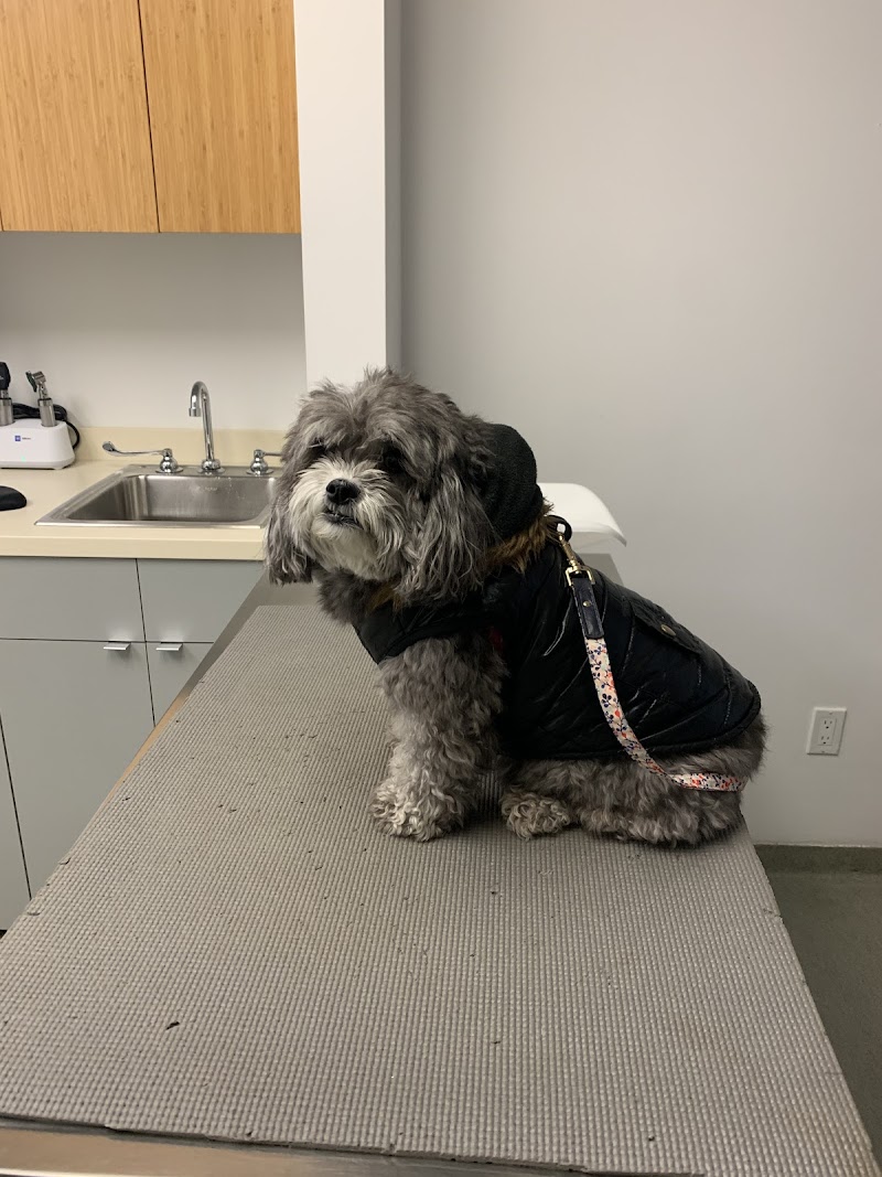 Worth Street Veterinary Center