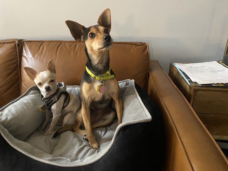 Worth Street Veterinary Center