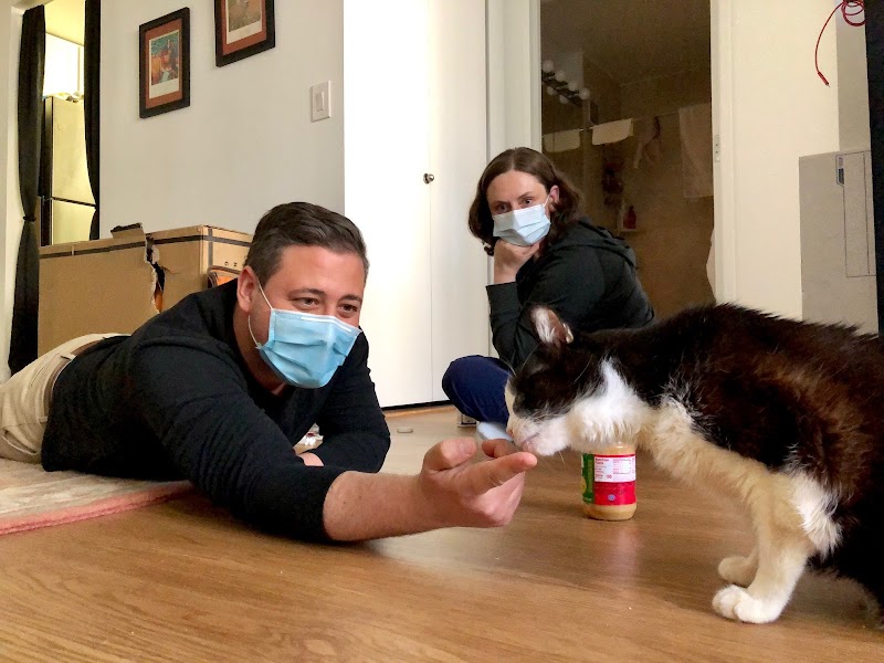 VetCierge Veterinary House Calls