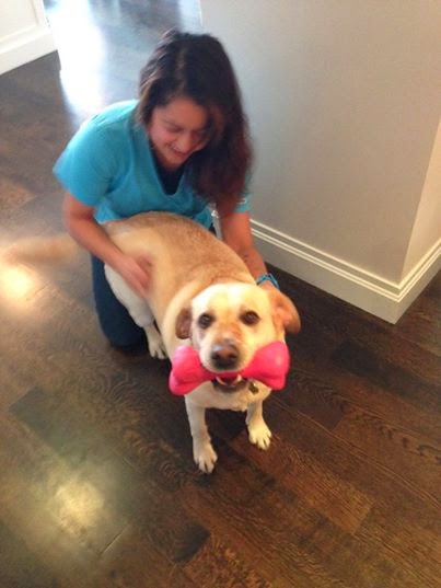 VetCierge Veterinary House Calls