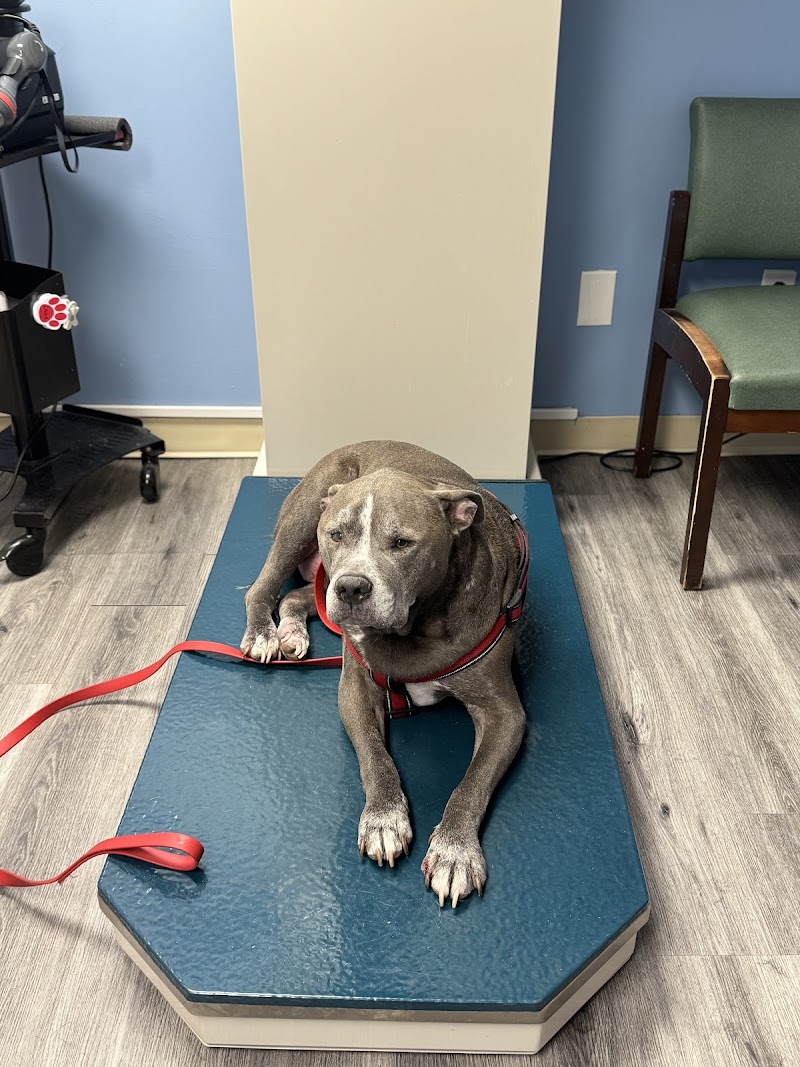 Stafford Veterinary Hospital