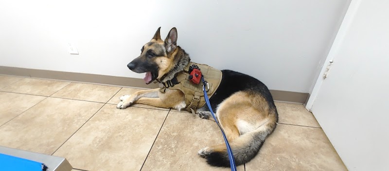 California Veterinary Hospital