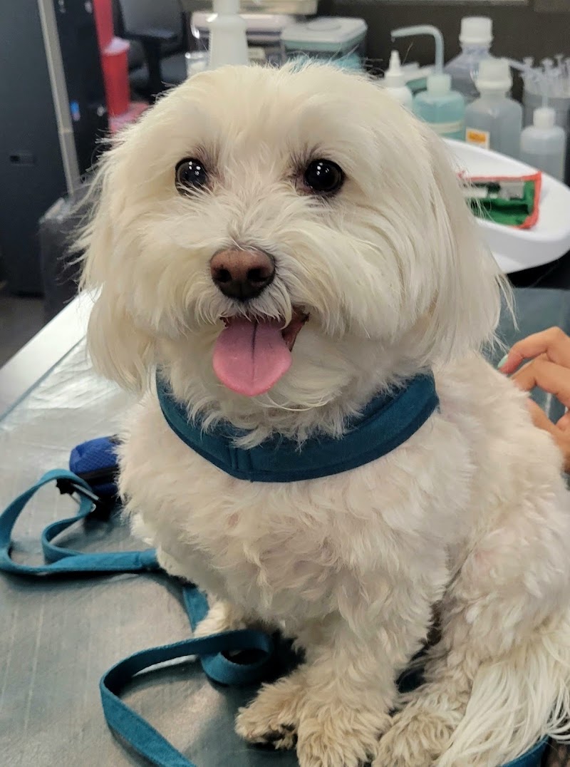 Hudson Animal Hospital