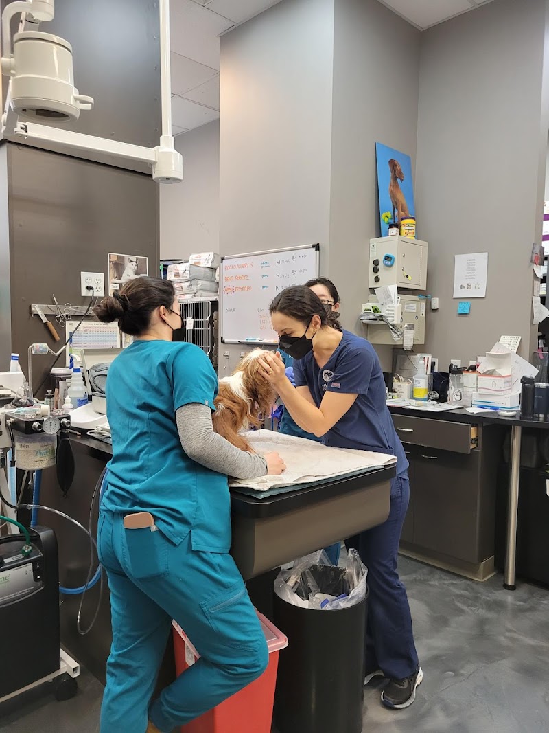 Hudson Animal Hospital