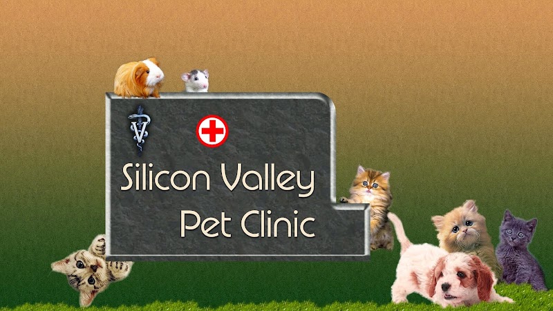 Silicon Valley Pet Clinic
