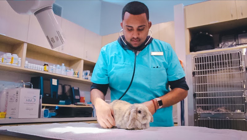 UNI Pet Clinic - San Jose