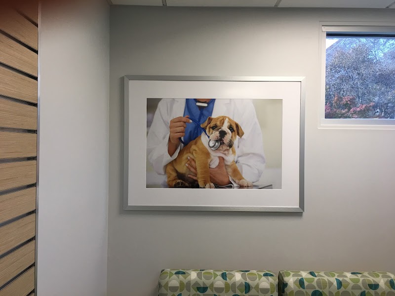 UNI Pet Clinic - San Jose