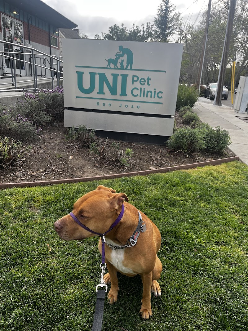 UNI Pet Clinic - San Jose