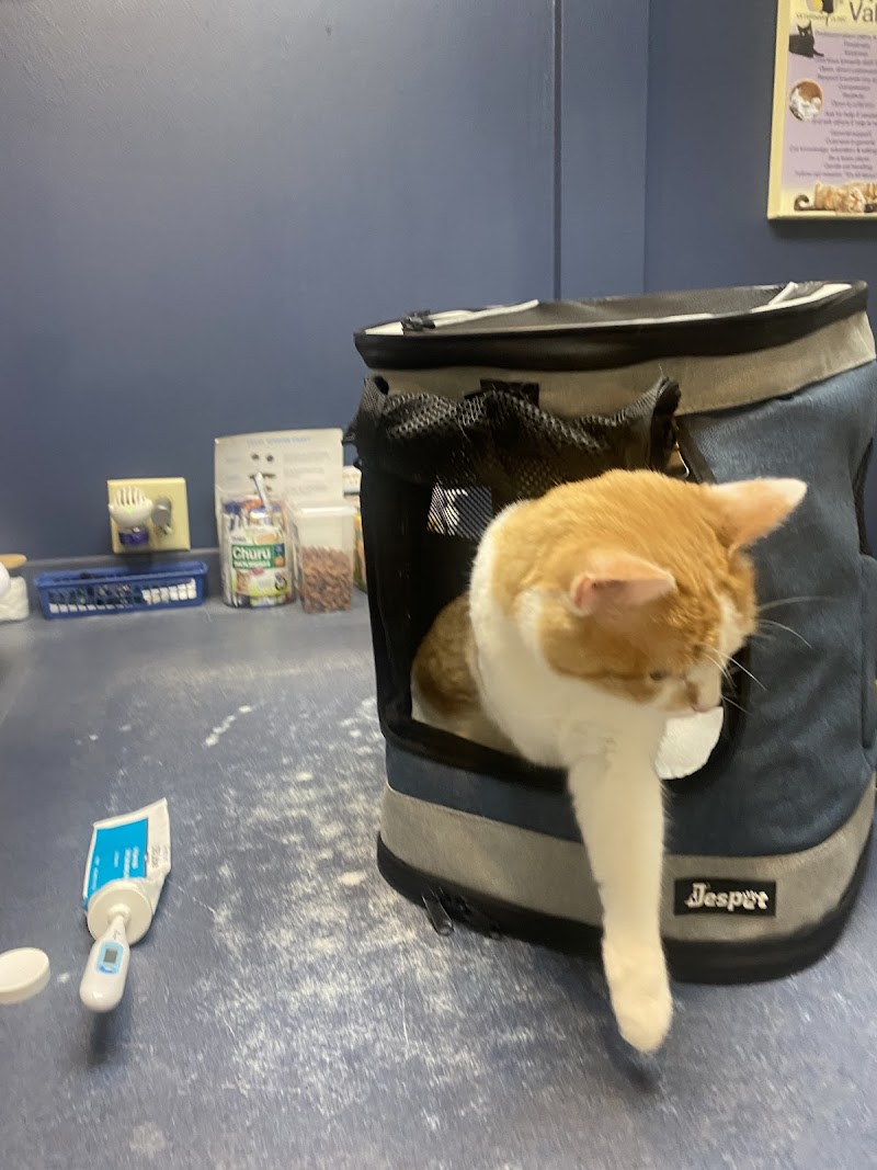 For the Love of Cats Veterinary Clinic