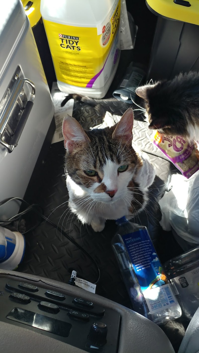 For the Love of Cats Veterinary Clinic