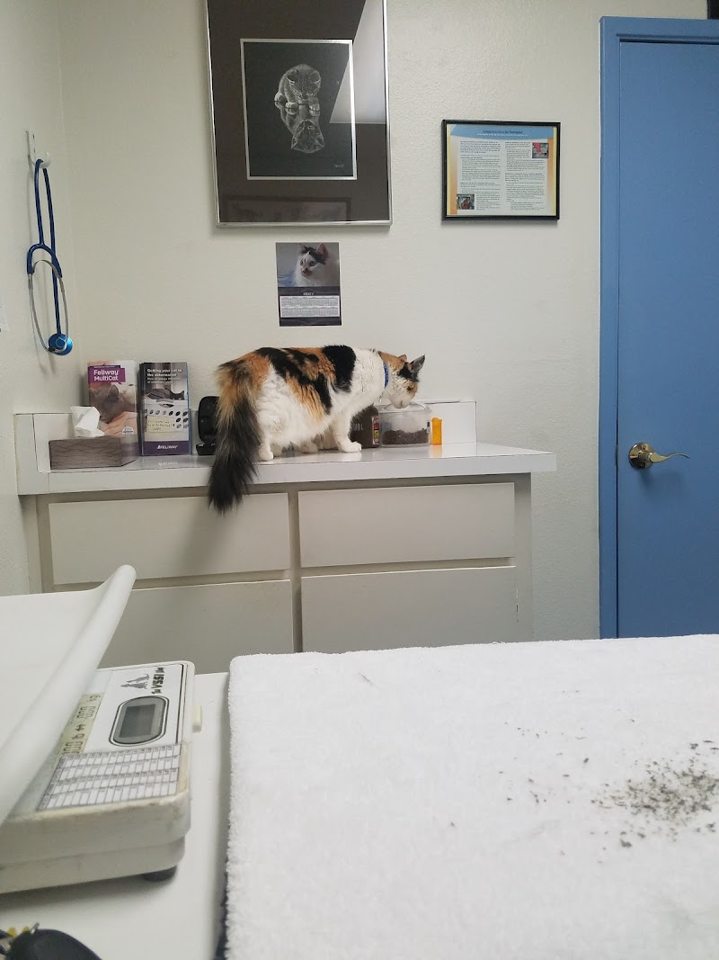 Penasquitos Pet Clinic