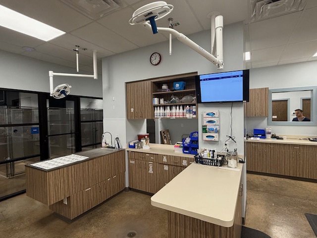 Animal Emergency Care of Braselton