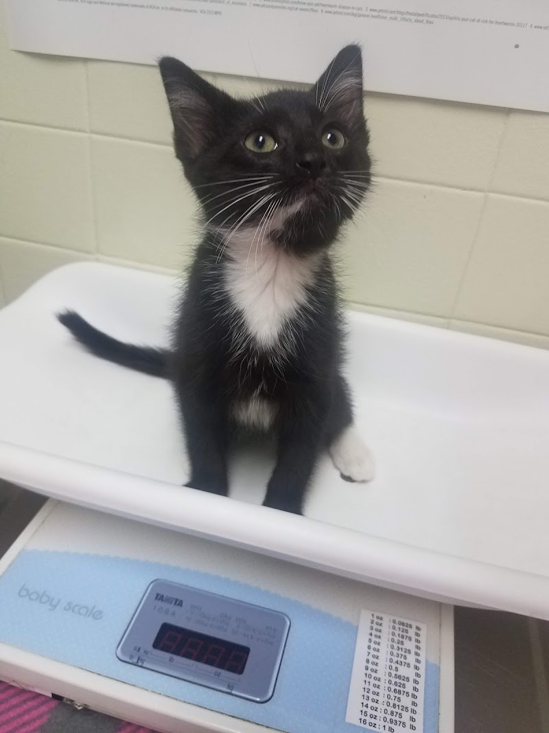 VCA Chicago North Animal Hospital