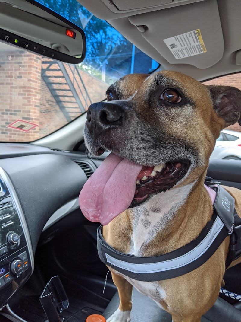 VCA Chicago North Animal Hospital