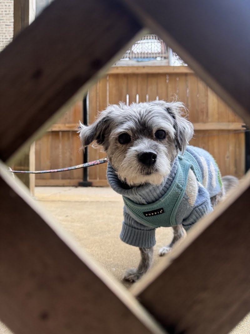 VCA Chicago North Animal Hospital