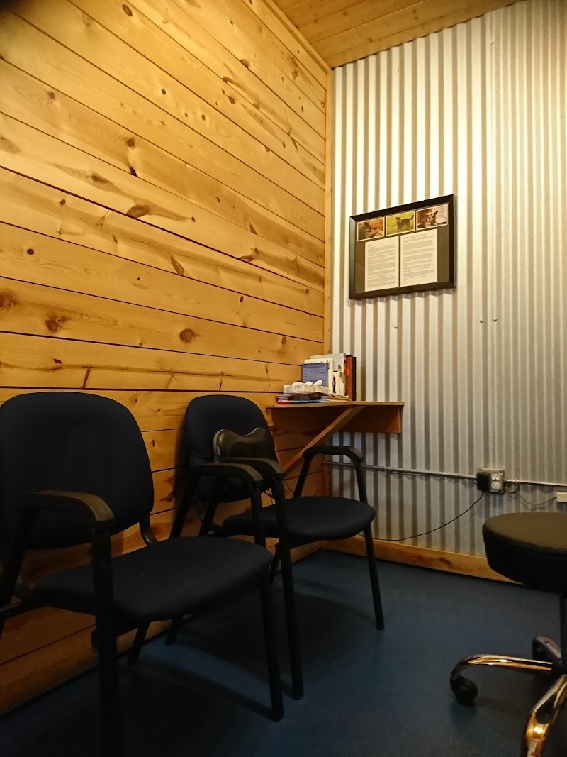 The Royal Treatment Veterinary Center