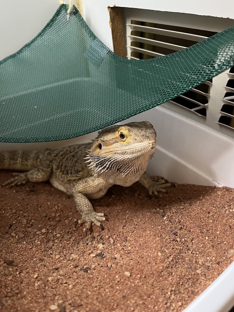 Bush Lake Pet Hospital