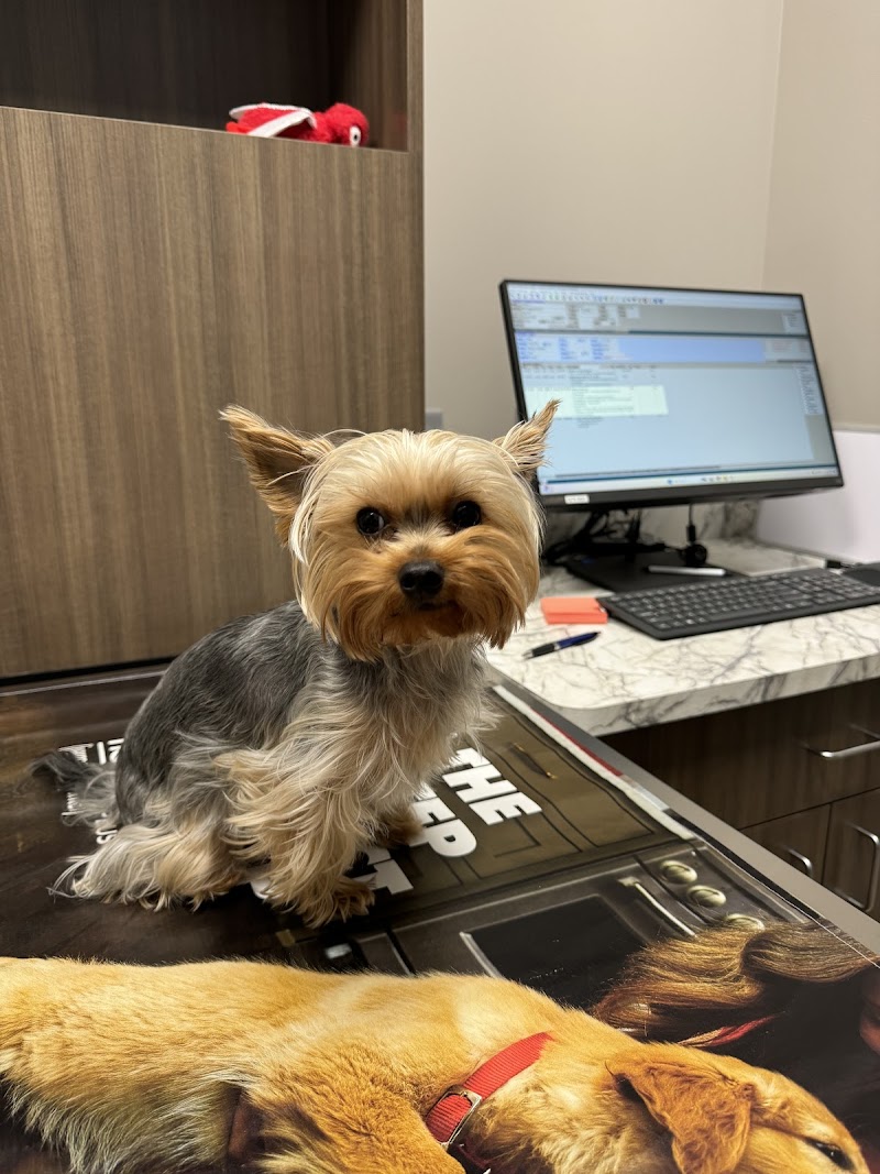 Bush Lake Pet Hospital