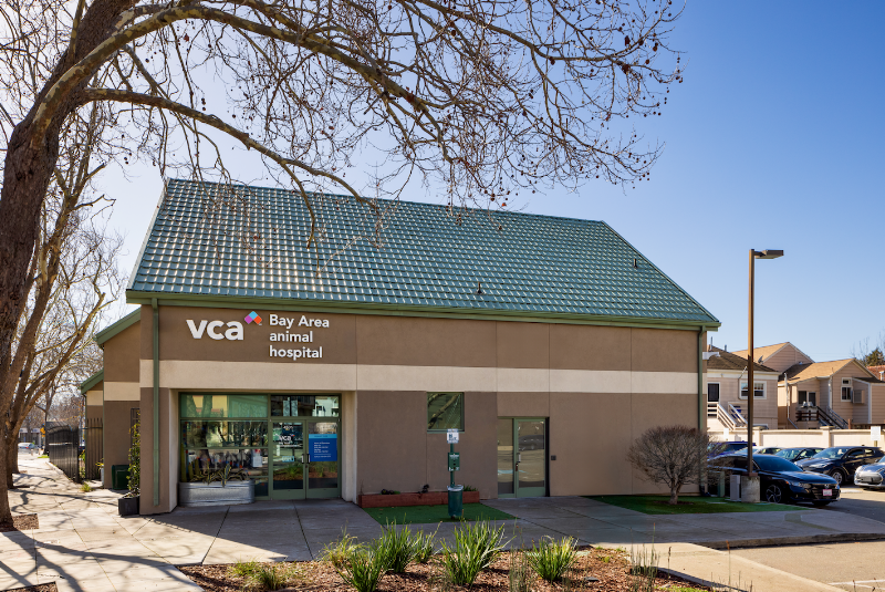 VCA Bay Area Animal Hospital