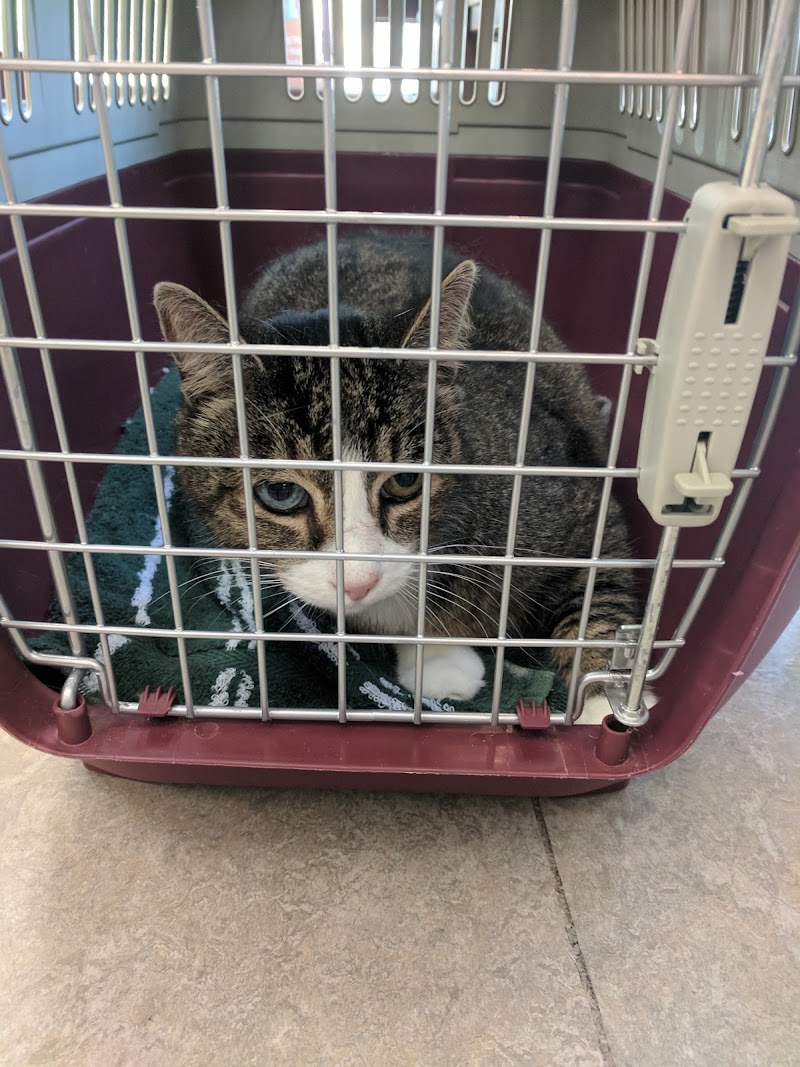 VCA Bay Area Animal Hospital