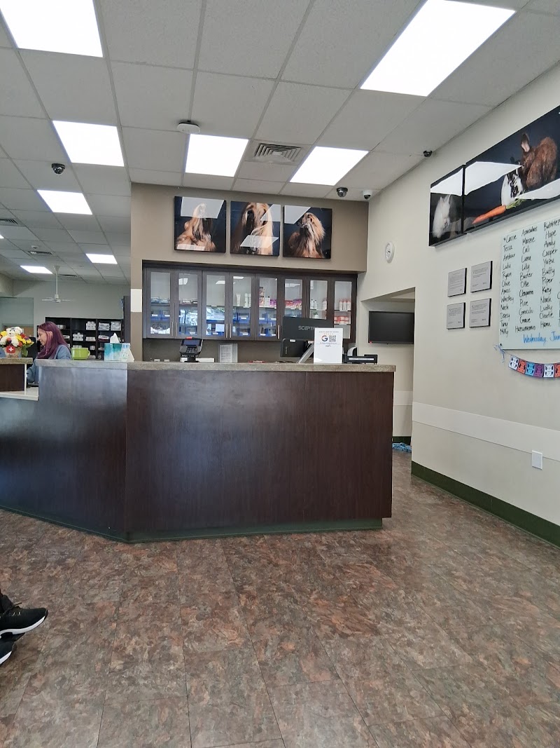 VCA Bay Area Animal Hospital