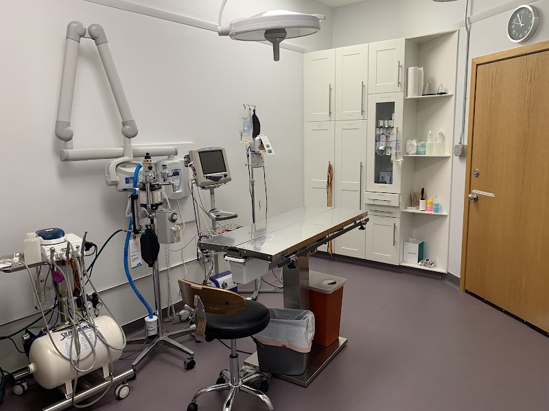 Denver Animal Hospital