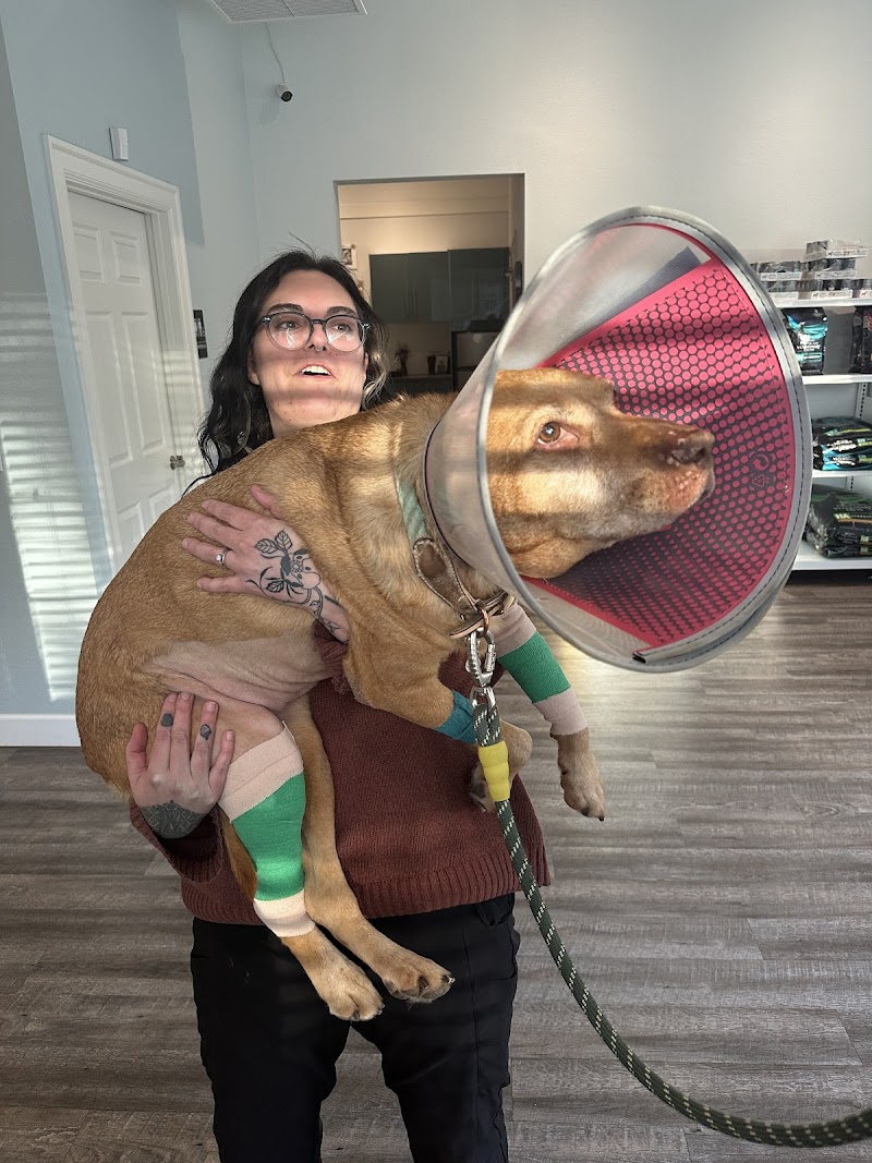 Denver Animal Hospital