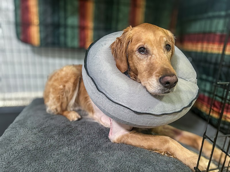 Alpharetta Veterinary Specialty & Emergency