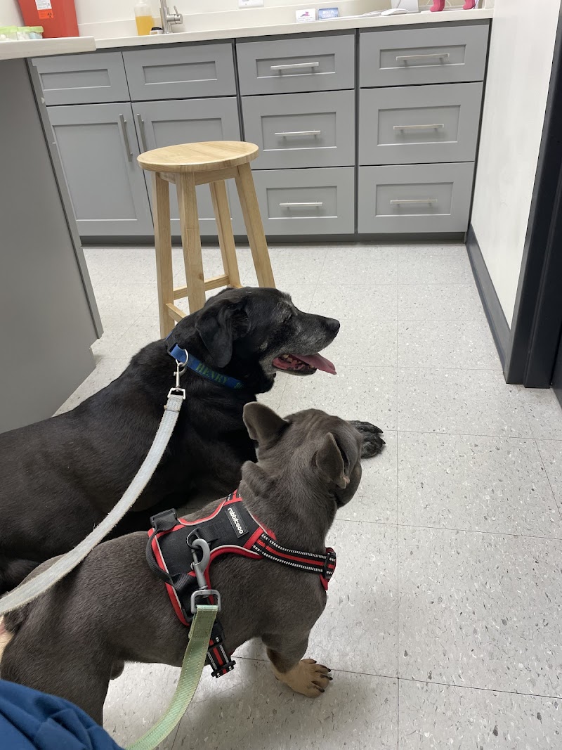 Westside Village Animal Hospital