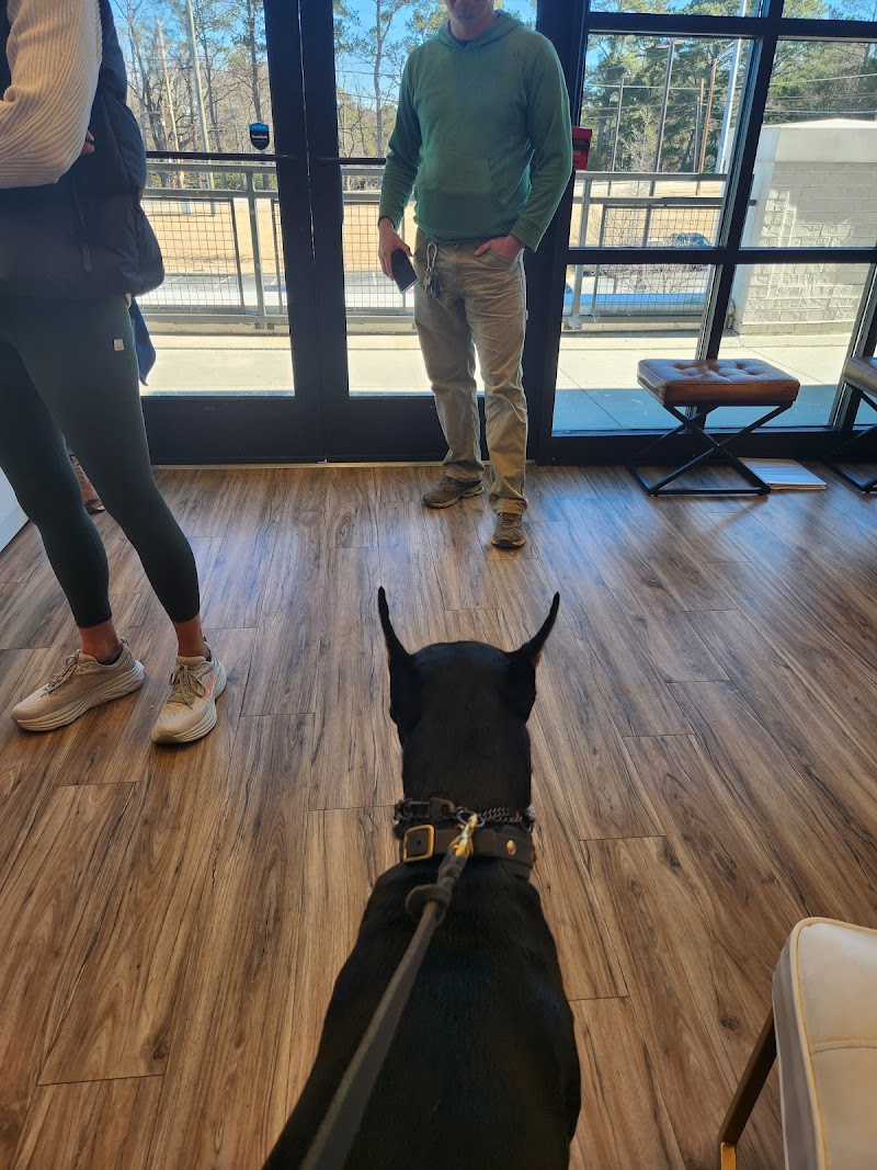 Westside Village Animal Hospital