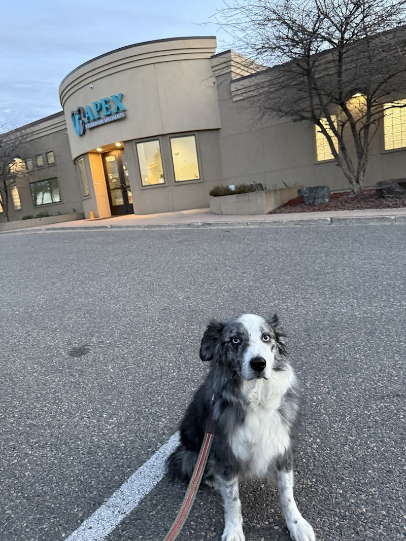 Apex Veterinary Specialists - Dentistry