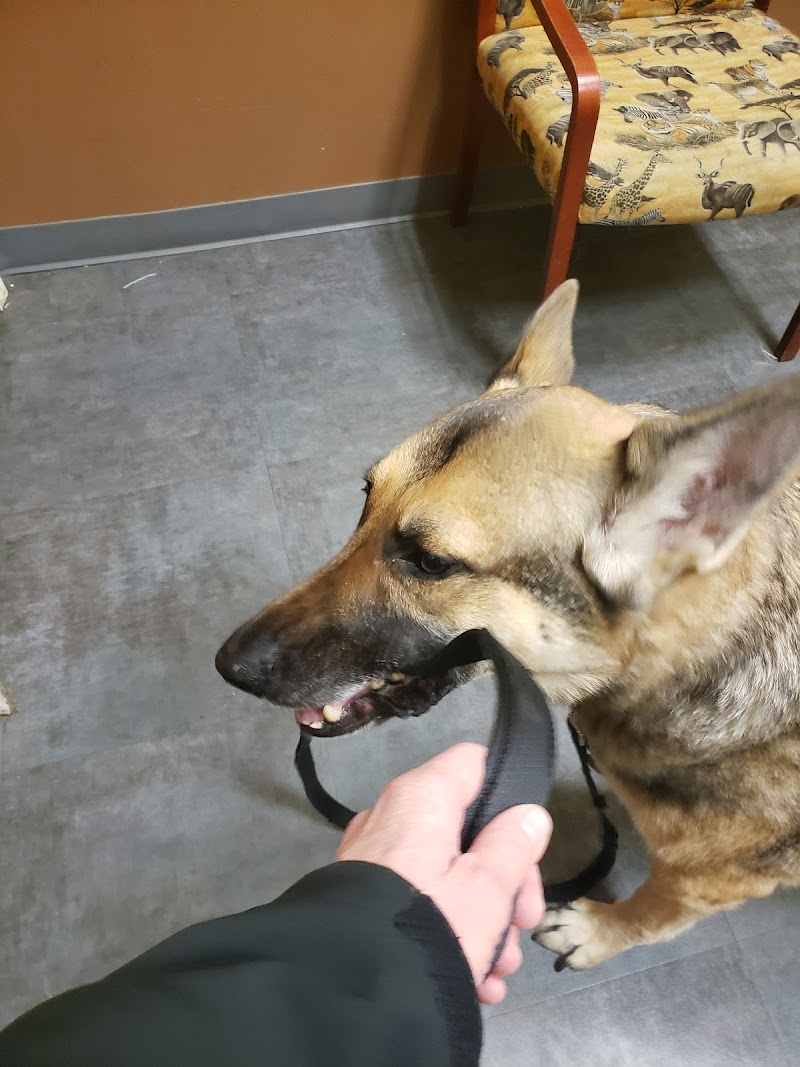 Paws and Feathers Veterinary Clinic and Emergency Hospital