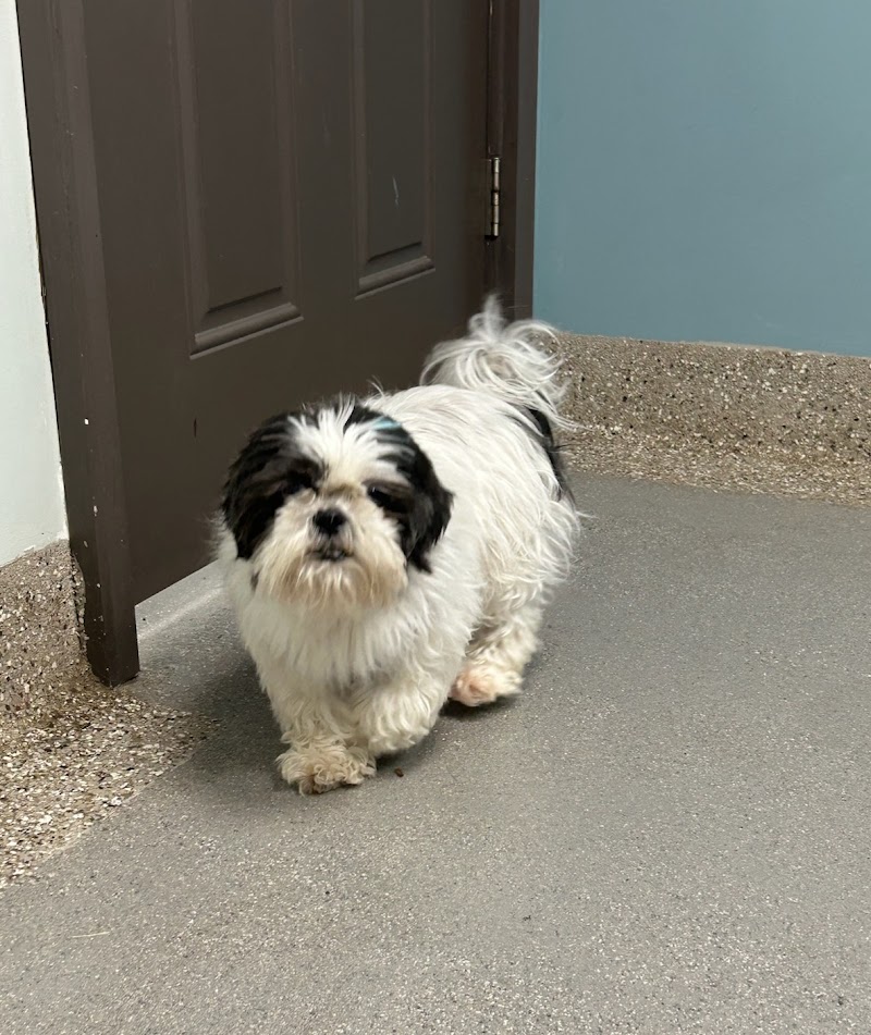 Paws and Feathers Veterinary Clinic and Emergency Hospital