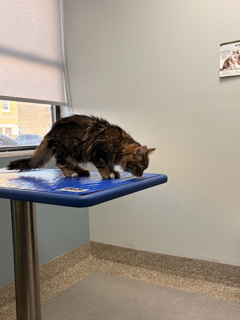 Paws and Feathers Veterinary Clinic and Emergency Hospital - Chicago