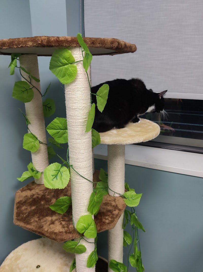 Paws and Feathers Veterinary Clinic and Emergency Hospital