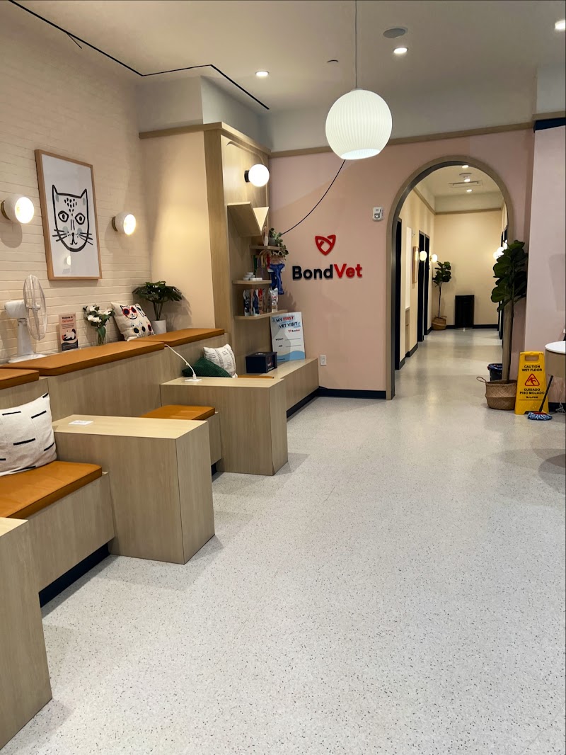 Bond Vet - Financial District