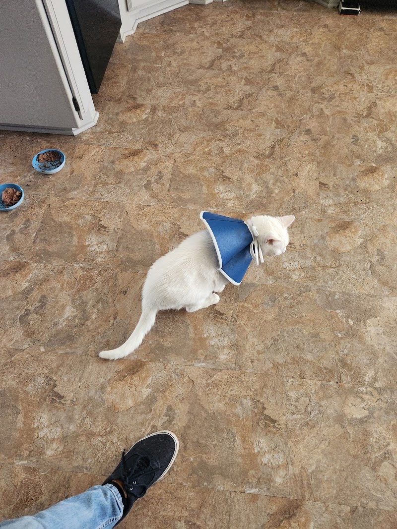 Airport Freeway Animal Emergency Hospital