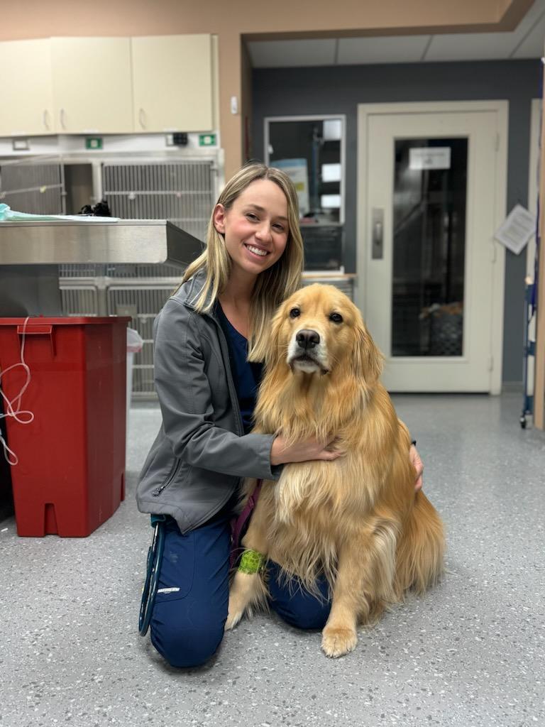 Airport Freeway Animal Emergency Hospital