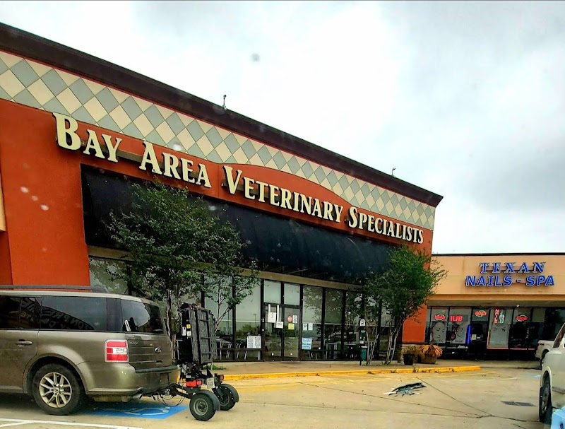 MedVet Houston Bay Area